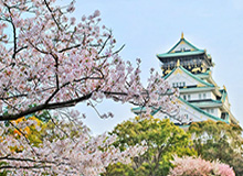 MK体育-低谷中感激球迷支持 汤神希望40岁仍保持顶级水准